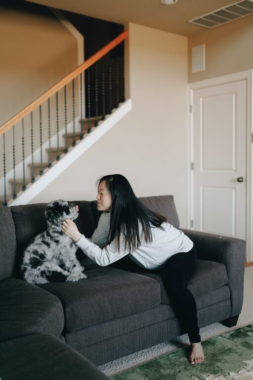 How to Set Up a Cozy and Safe Pet-Friendly Home Corner